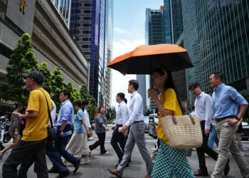 AI engineers data scientists