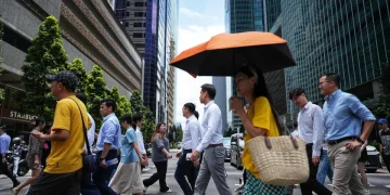 AI engineers data scientists