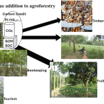 EKO Spring Asia Pte. Ltd. Singapore Agribusiness Profile