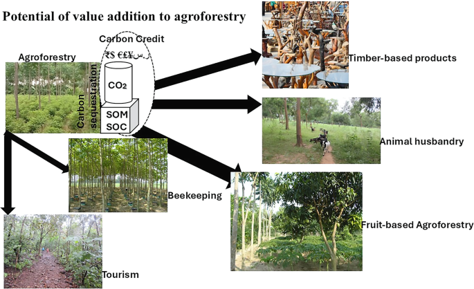 EKO Spring Asia Pte. Ltd. Singapore Agribusiness Profile