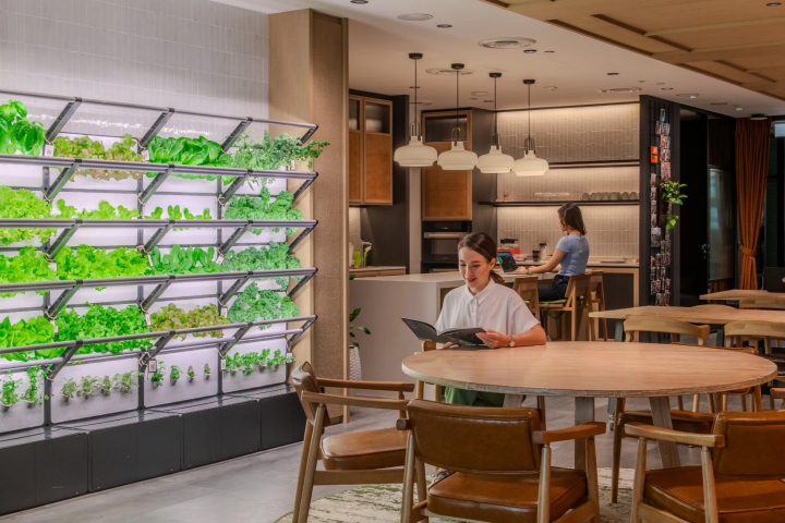 Singapore's Premier Urban Farmers: Edible Green Walls for All Indoor Spaces