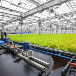 ARISTA FARMING PTE. LTD.