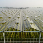 GO Greenhouse Investments Pte. Ltd. Singapore Agribusiness Profile