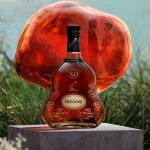 Moët Hennessy Diageo